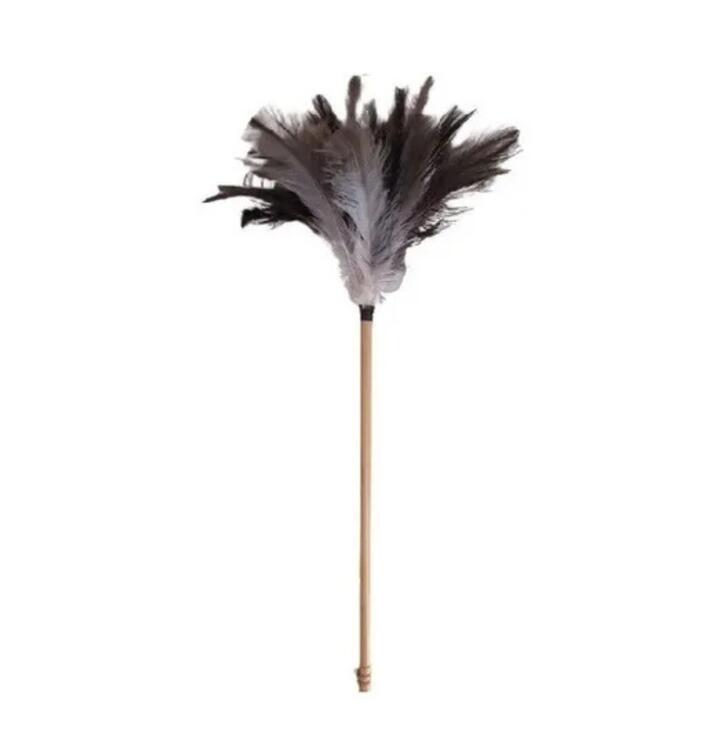 PLUMERO DE PLUMAS MEDIANO 